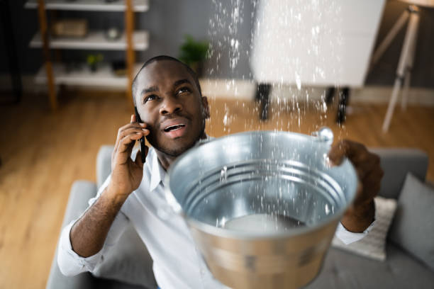 Best Local water damage restoration  in Chevy Chase, MD