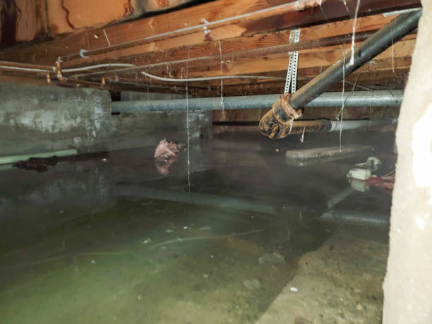 24/7 water damage repair in MD