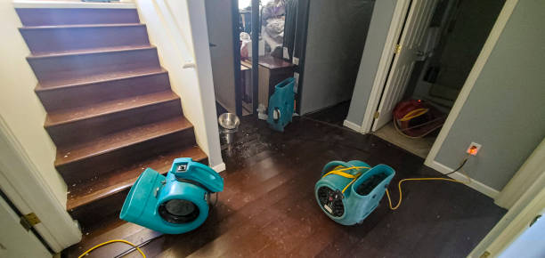 Best Water damage restoration near me  in Chevy Chase, MD