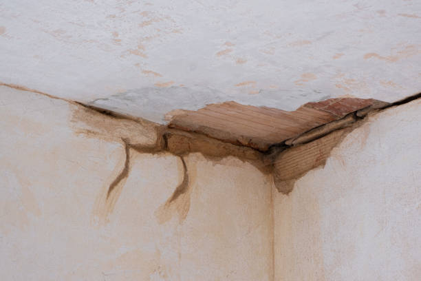 Best Water damage restoration near me  in Chevy Chase, MD