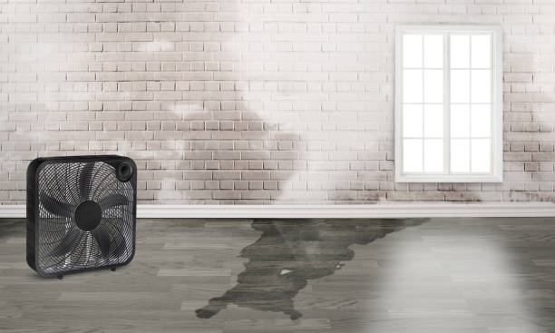 Best Water damage restoration cost  in Chevy Chase, MD