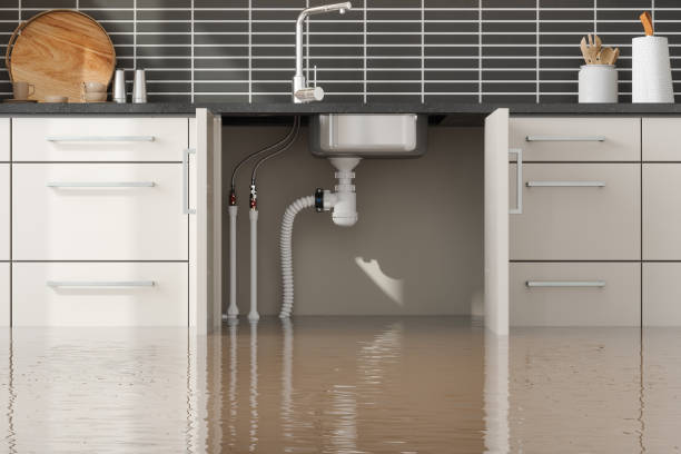 Best Fire Damage Restoration  in Chevy Chase, MD