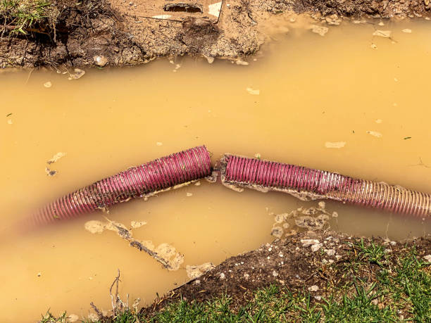 Water damage restoration mold remediation in MD