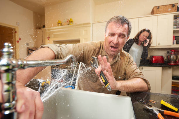 Best Water damage restoration mold remediation  in Chevy Chase, MD